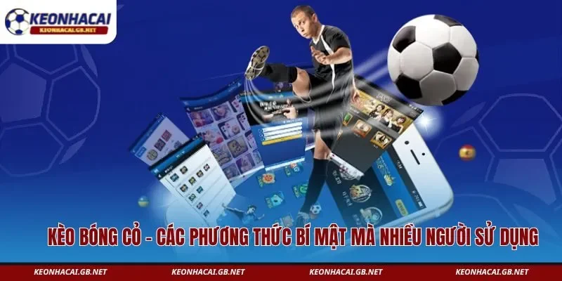 kèo bóng cỏ
