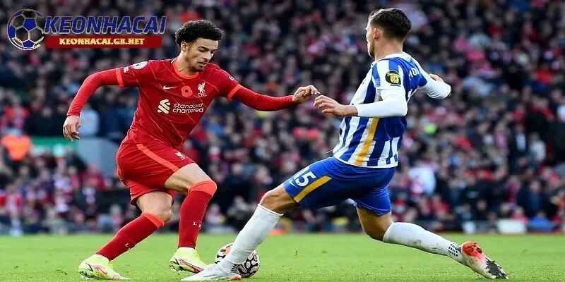 Soi kèo nhà cái Brighton vs Liverpool, 00h00 – 20/05/2025