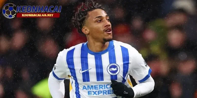 Chelsea quyết tâm chiêu mộ Joao Pedro trước thềm FIFA Club World Cup Chelsea quyết tâm chiêu mộ Joao Pedro trước thềm FIFA Club World Cup