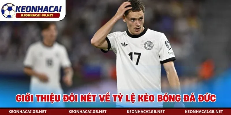 Giới thiệu đôi nét về tỷ lệ kèo bóng đá Đức