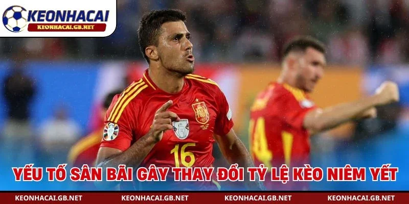 Yếu tố sân bãi gây thay đổi tỷ lệ kèo niêm yết